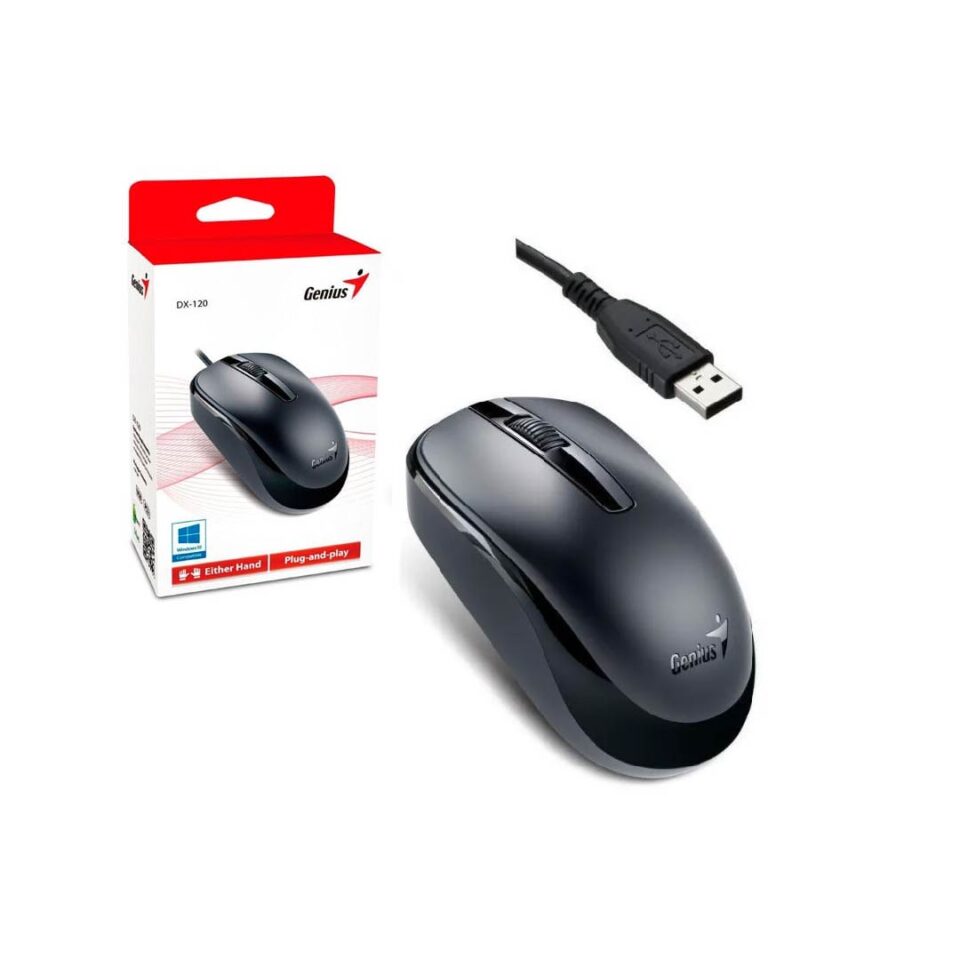 Mouse Genius DX 120 USB sencillo Negro